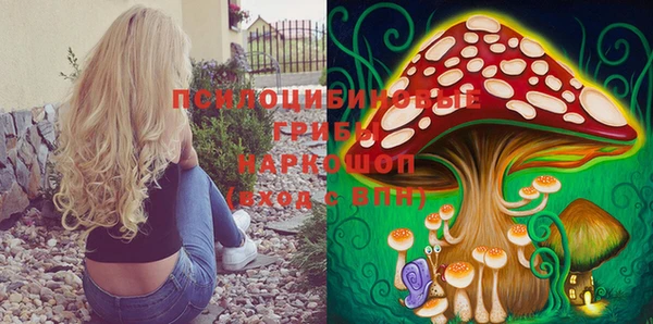 ешки Инсар
