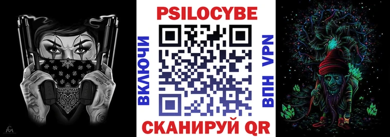 Галлюциногенные грибы Psilocybe  Купить где  Звенигово 