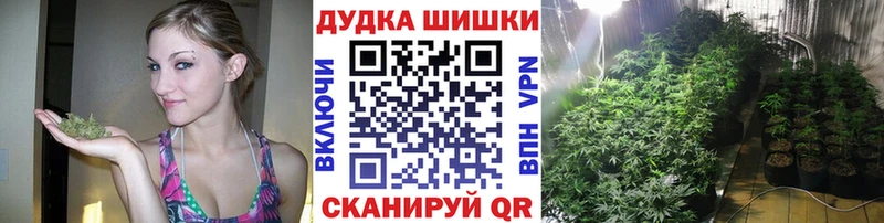Канабис White Widow  Купить где  Звенигово 